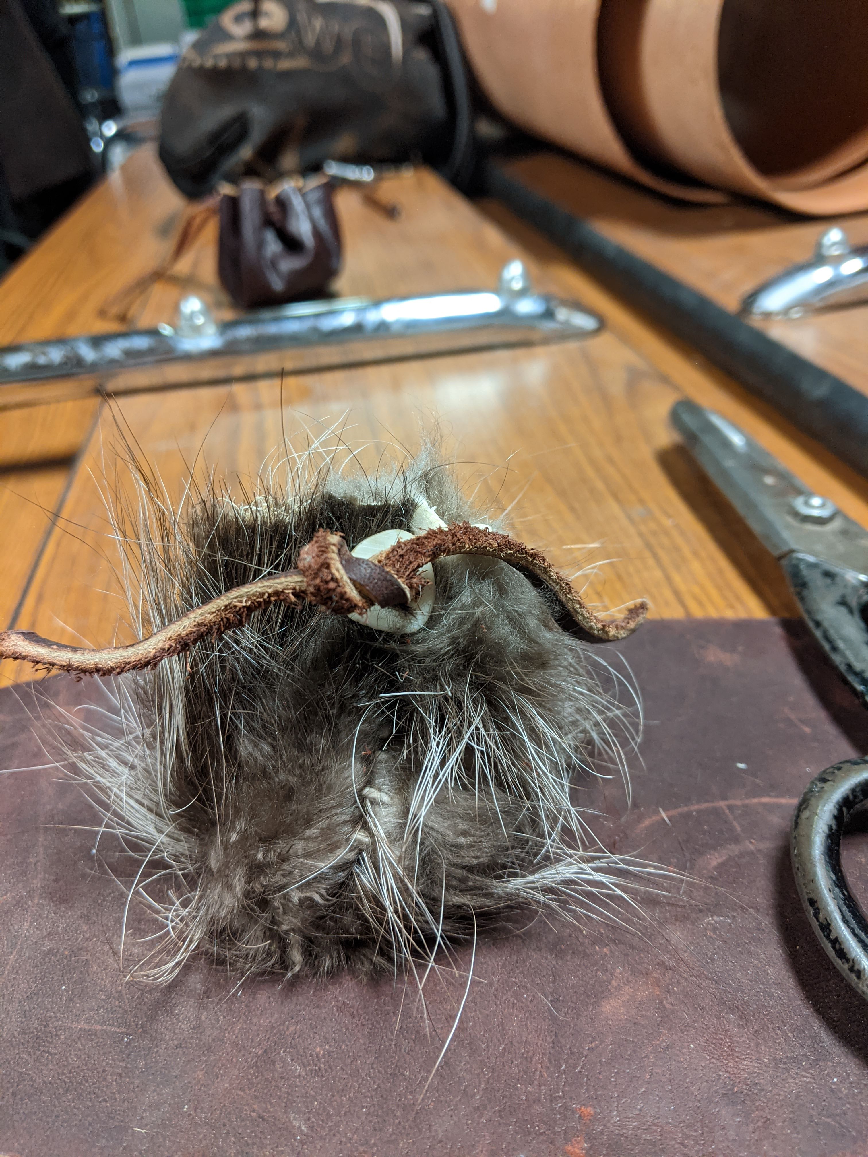 Charm or oddity by The Wizard